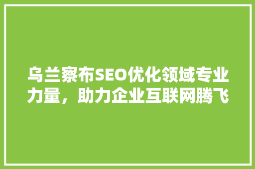 乌兰察布SEO优化领域专业力量，助力企业互联网腾飞