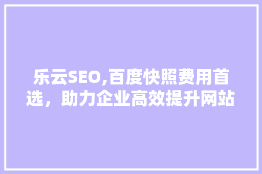 乐云SEO,百度快照费用首选，助力企业高效提升网站排名
