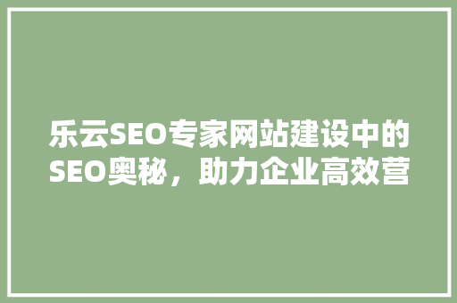 乐云SEO专家网站建设中的SEO奥秘，助力企业高效营销