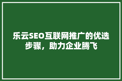 乐云SEO互联网推广的优选步骤，助力企业腾飞