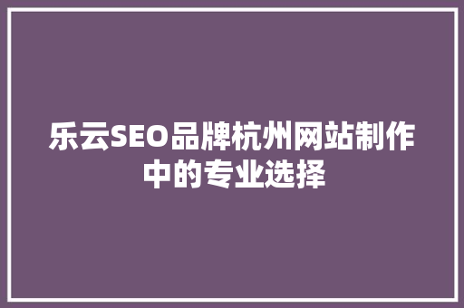 乐云SEO品牌杭州网站制作中的专业选择