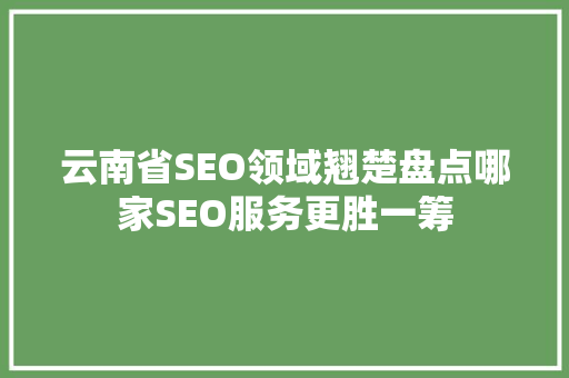 云南省SEO领域翘楚盘点哪家SEO服务更胜一筹