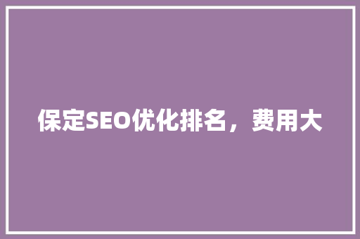保定SEO优化排名，费用大