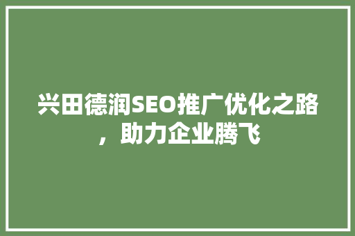 兴田德润SEO推广优化之路，助力企业腾飞