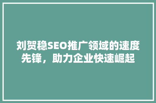 刘贺稳SEO推广领域的速度先锋，助力企业快速崛起