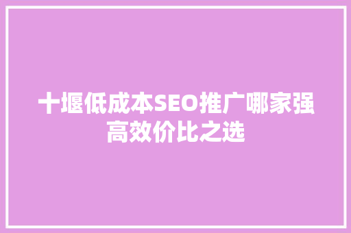 十堰低成本SEO推广哪家强高效价比之选