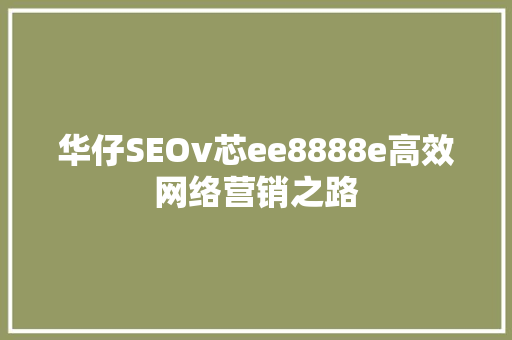 华仔SEOv芯ee8888e高效网络营销之路