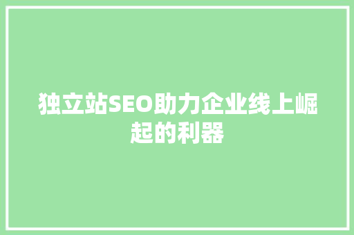 独立站SEO助力企业线上崛起的利器