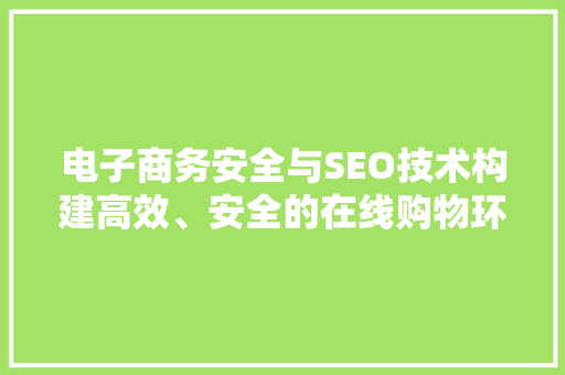 电子商务安全与SEO技术构建高效、安全的在线购物环境