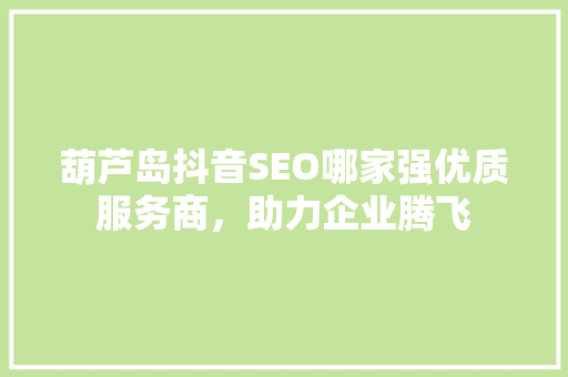 葫芦岛抖音SEO哪家强优质服务商，助力企业腾飞