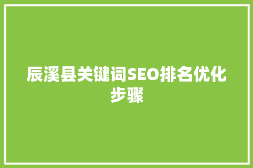 辰溪县关键词SEO排名优化步骤  第1张