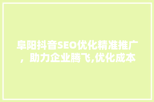 阜阳抖音SEO优化精准推广，助力企业腾飞,优化成本与价值