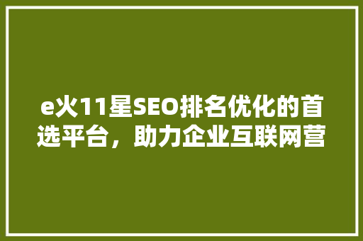 e火11星SEO排名优化的首选平台，助力企业互联网营销腾飞