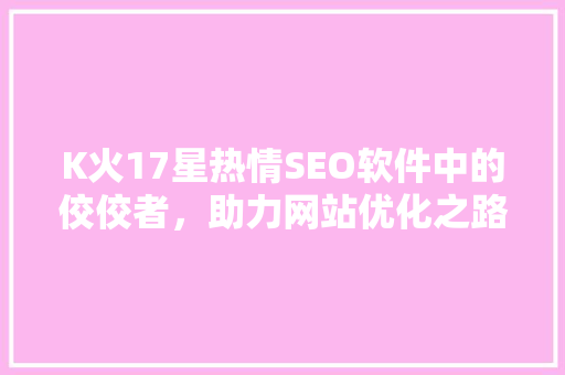 K火17星热情SEO软件中的佼佼者，助力网站优化之路