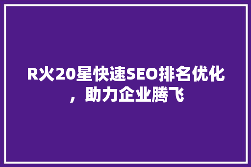 R火20星快速SEO排名优化，助力企业腾飞