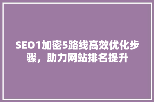SEO1加密5路线高效优化步骤，助力网站排名提升