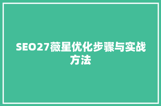 SEO27薇星优化步骤与实战方法