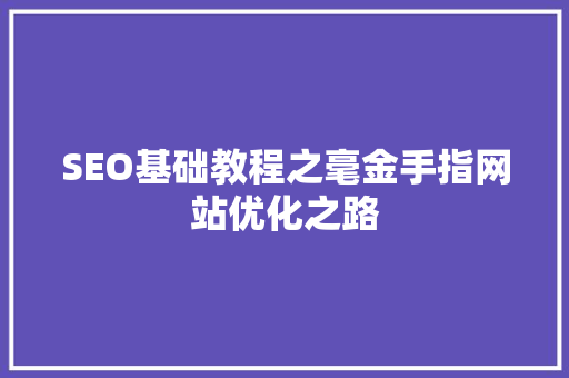 SEO基础教程之毫金手指网站优化之路