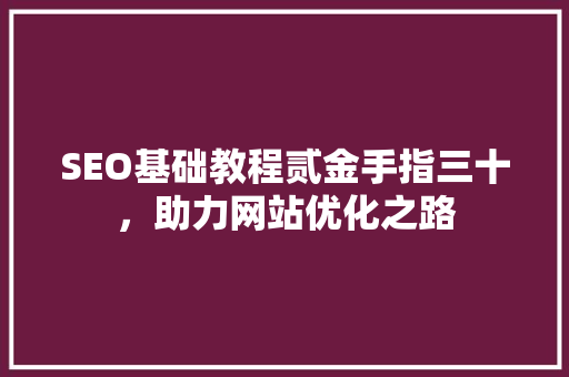 SEO基础教程贰金手指三十，助力网站优化之路