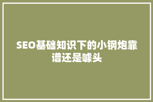 SEO基础知识下的小钢炮靠谱还是噱头