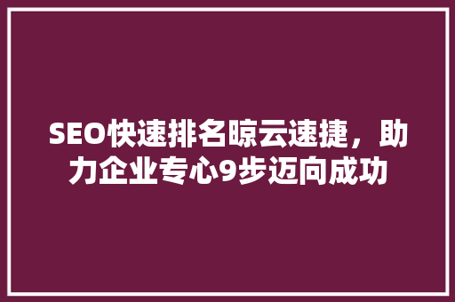 SEO快速排名晾云速捷，助力企业专心9步迈向成功