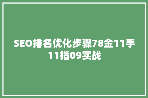 SEO排名优化步骤78金11手11指09实战