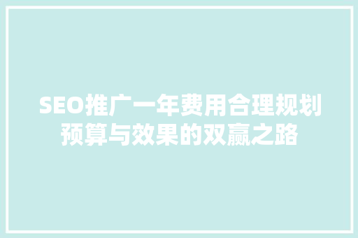 SEO推广一年费用合理规划预算与效果的双赢之路