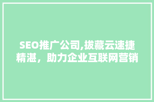 SEO推广公司,拔藏云速捷精湛，助力企业互联网营销腾飞