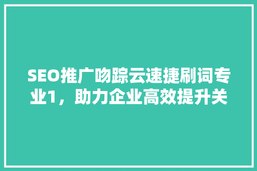 SEO推广吻踪云速捷刷词专业1，助力企业高效提升关键词排名