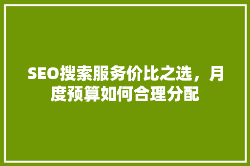 SEO搜索服务价比之选，月度预算如何合理分配