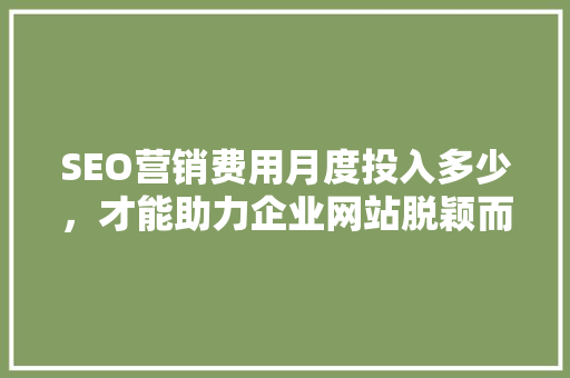 SEO营销费用月度投入多少，才能助力企业网站脱颖而出