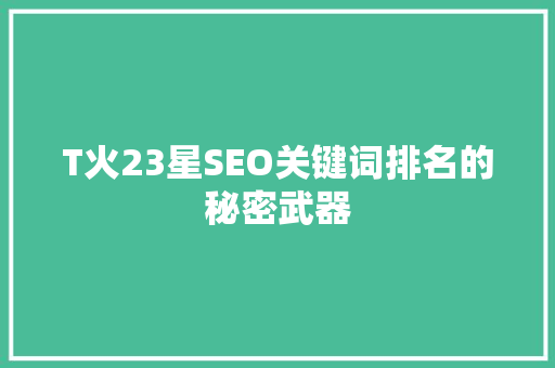 T火23星SEO关键词排名的秘密武器