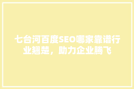 七台河百度SEO哪家靠谱行业翘楚，助力企业腾飞
