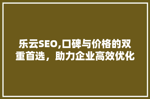 乐云SEO,口碑与价格的双重首选，助力企业高效优化搜索引擎排名
