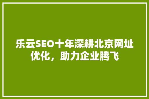 乐云SEO十年深耕北京网址优化，助力企业腾飞