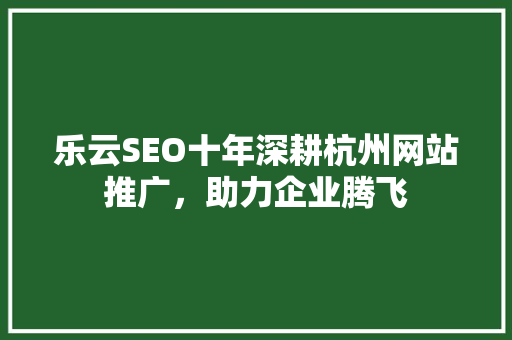 乐云SEO十年深耕杭州网站推广，助力企业腾飞