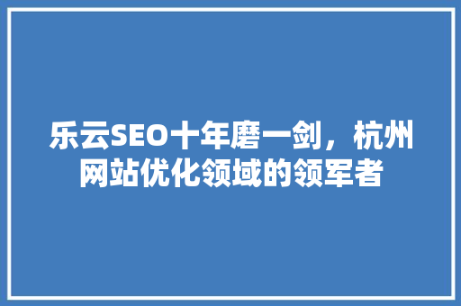 乐云SEO十年磨一剑，杭州网站优化领域的领军者