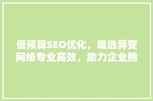 低预算SEO优化，唯选异变网络专业高效，助力企业腾飞