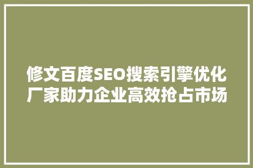 修文百度SEO搜索引擎优化厂家助力企业高效抢占市场先机