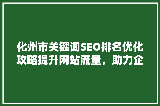 化州市关键词SEO排名优化攻略提升网站流量，助力企业腾飞
