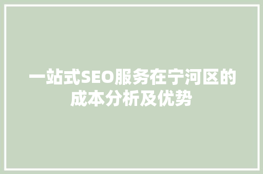一站式SEO服务在宁河区的成本分析及优势