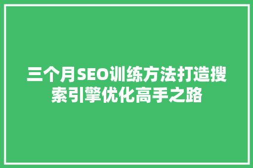 三个月SEO训练方法打造搜索引擎优化高手之路