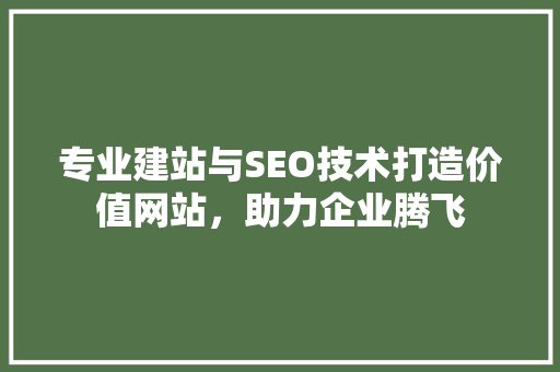专业建站与SEO技术打造价值网站，助力企业腾飞