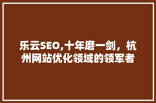 乐云SEO,十年磨一剑，杭州网站优化领域的领军者