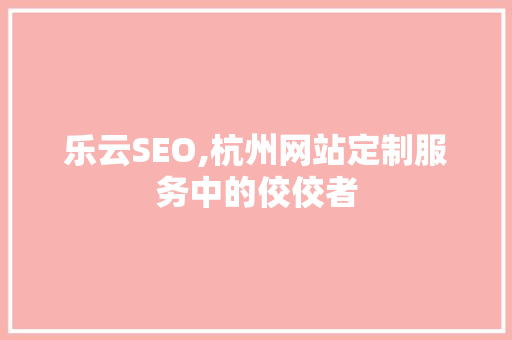 乐云SEO,杭州网站定制服务中的佼佼者
