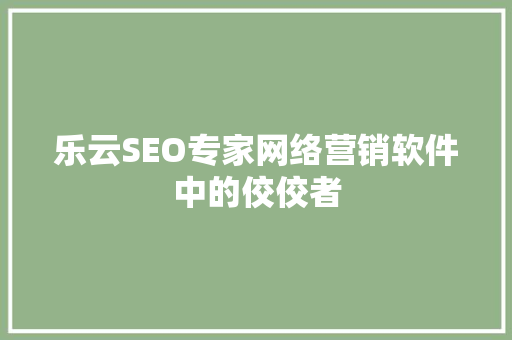 乐云SEO专家网络营销软件中的佼佼者