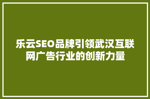 乐云SEO品牌引领武汉互联网广告行业的创新力量