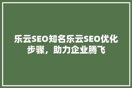 乐云SEO知名乐云SEO优化步骤，助力企业腾飞