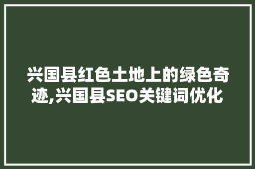 兴国县红色土地上的绿色奇迹,兴国县SEO关键词优化之路