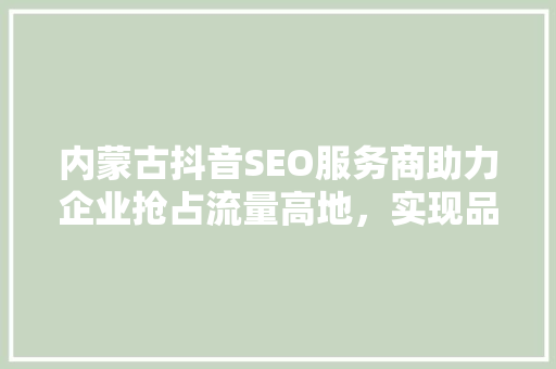内蒙古抖音SEO服务商助力企业抢占流量高地，实现品牌价值最大化